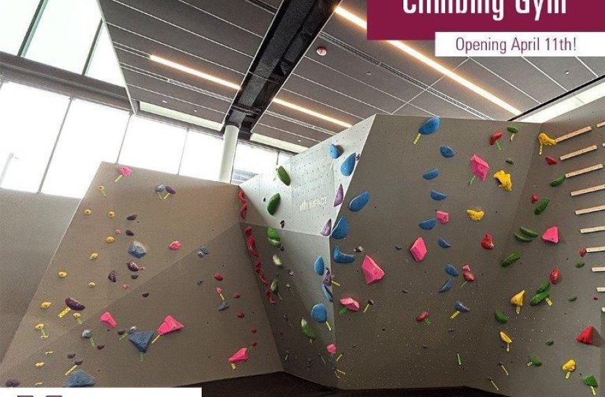 Feather Family Climbing Gym