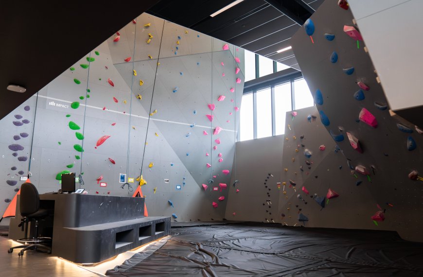 Climbing Wall