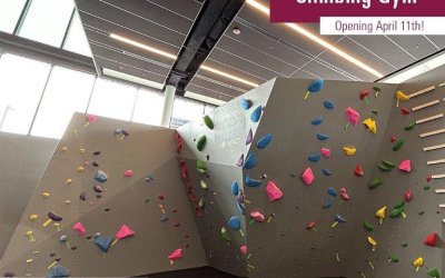 Feather Family Climbing Wall