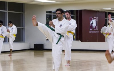 Karate - Beginner